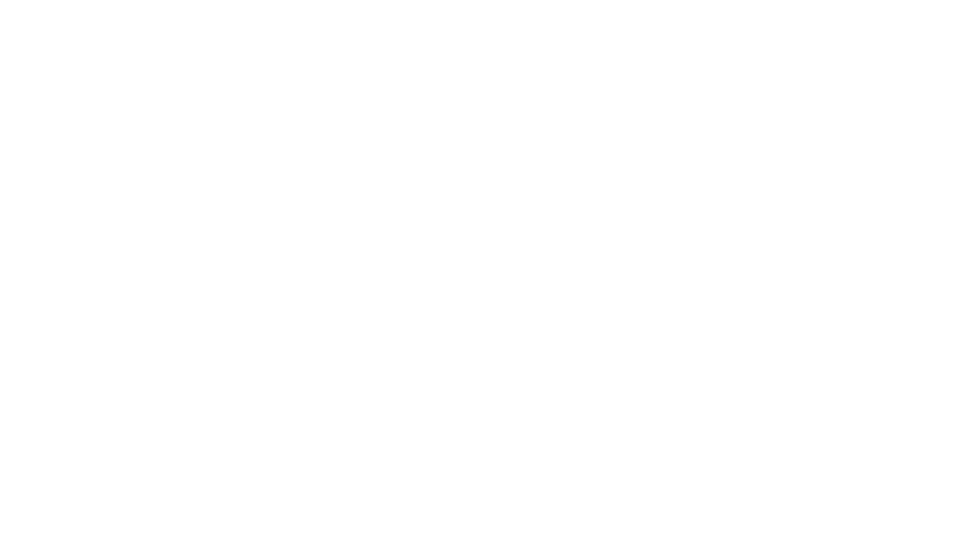 Business Traveler